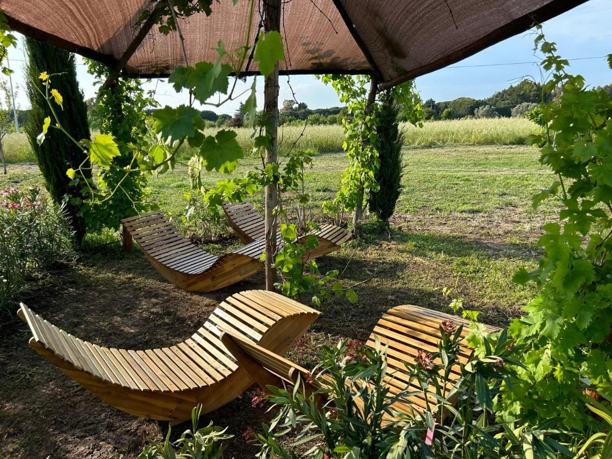 Апарт отель Fattoria Palazzeta - Pet & Family Friendly Чечина Экстерьер фото