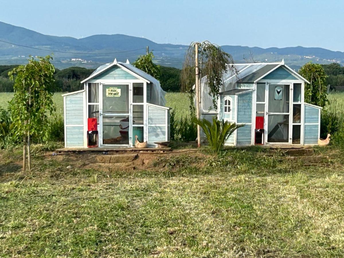 Апарт отель Fattoria Palazzeta - Pet & Family Friendly Чечина Экстерьер фото